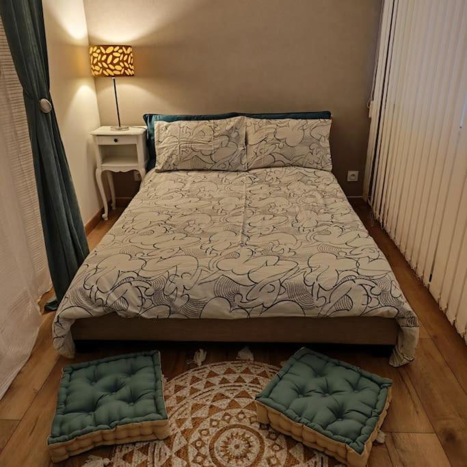 Superbe Cosy Duplex Appartement T3 Charpenne Tete D'Or Avec Parking Prive Gratuit Віллербанн Екстер'єр фото