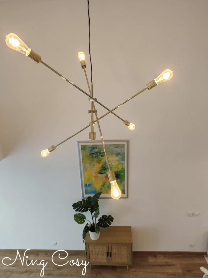 Superbe Cosy Duplex Appartement T3 Charpenne Tete D'Or Avec Parking Prive Gratuit Віллербанн Екстер'єр фото