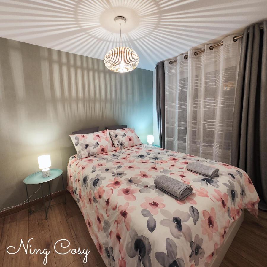 Superbe Cosy Duplex Appartement T3 Charpenne Tete D'Or Avec Parking Prive Gratuit Віллербанн Екстер'єр фото