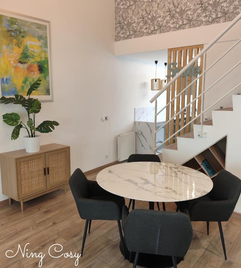 Superbe Cosy Duplex Appartement T3 Charpenne Tete D'Or Avec Parking Prive Gratuit Віллербанн Екстер'єр фото