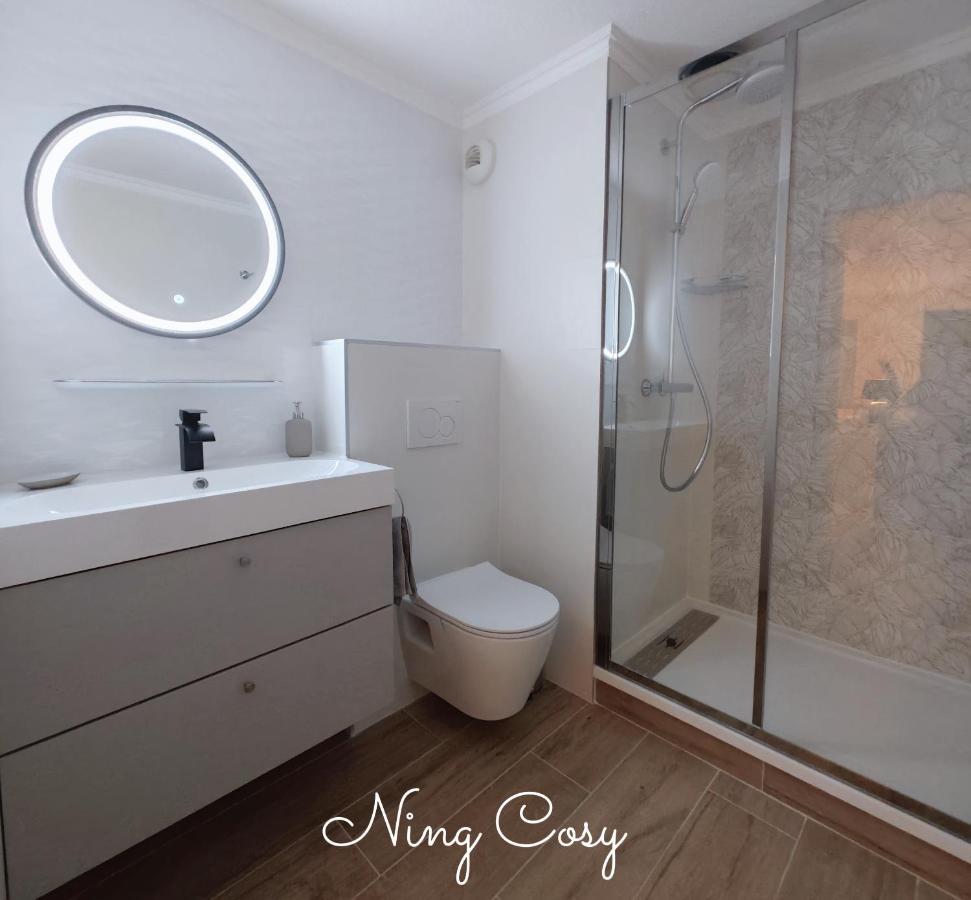 Superbe Cosy Duplex Appartement T3 Charpenne Tete D'Or Avec Parking Prive Gratuit Віллербанн Екстер'єр фото