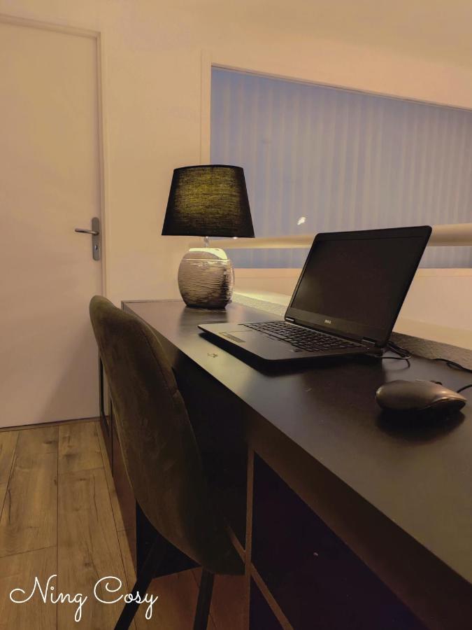 Superbe Cosy Duplex Appartement T3 Charpenne Tete D'Or Avec Parking Prive Gratuit Віллербанн Екстер'єр фото