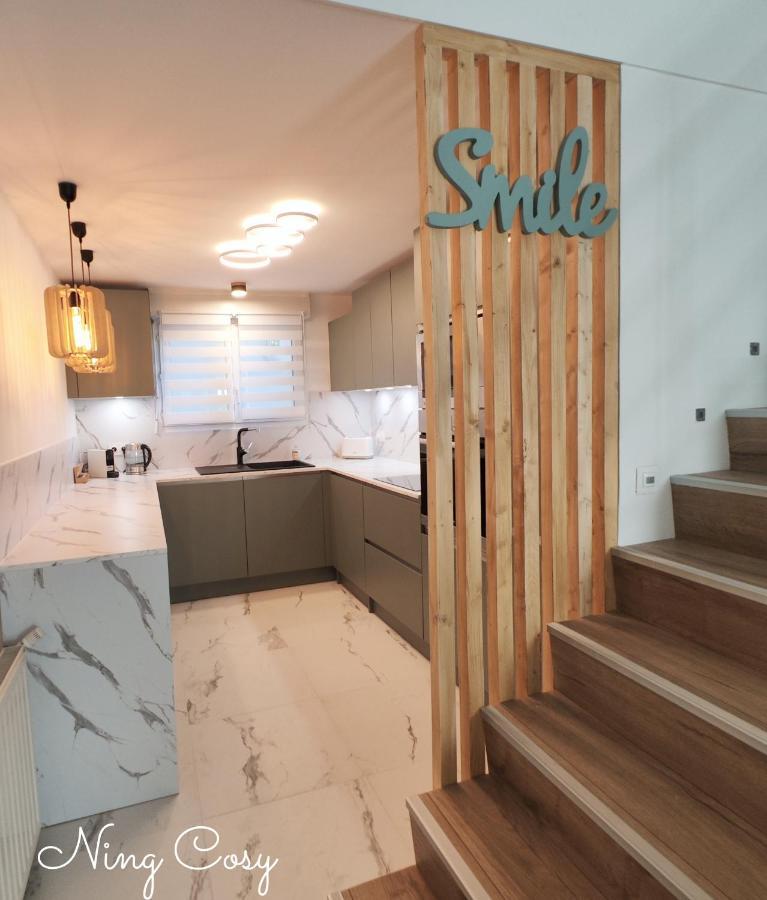 Superbe Cosy Duplex Appartement T3 Charpenne Tete D'Or Avec Parking Prive Gratuit Віллербанн Екстер'єр фото