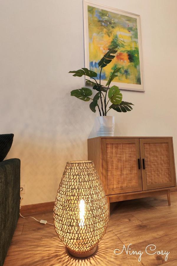 Superbe Cosy Duplex Appartement T3 Charpenne Tete D'Or Avec Parking Prive Gratuit Віллербанн Екстер'єр фото